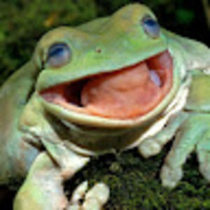 Meet your Posher, Derek z